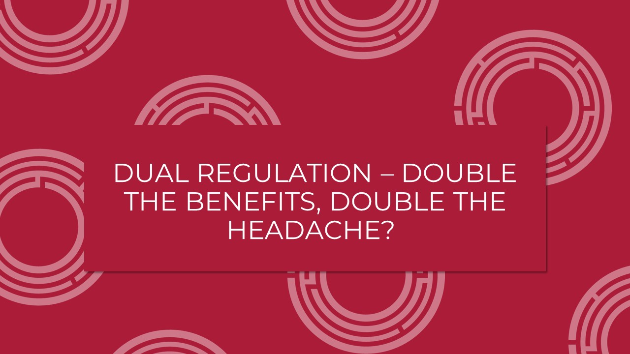 Professional Discipline: Dual Regulation – Double The Benefits, Double The Headache?